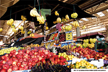 Marktstand mit einer grossen Auswahl von Gemüse und Früchten.