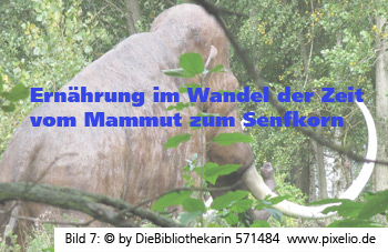Mammut vor einem Wald. Titel in blauer Farbe: Ernährung im Wandel der Zeit - vom Mammut zum Senfkorn